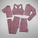 Womens Seamless Yoga Set