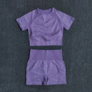 Womens Seamless Yoga Set