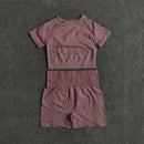 Womens Seamless Yoga Set