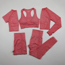 Womens Seamless Yoga Set