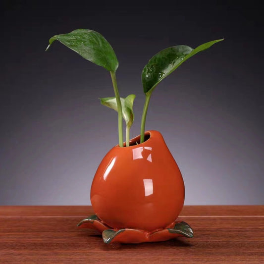 Ceramic Hydroponic Propagation Planter | Water Vase for Pothos and Indoor Plants