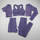 Womens Seamless Yoga Set