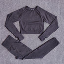 Womens Seamless Yoga Set