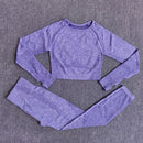 Womens Seamless Yoga Set