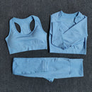 Womens Seamless Yoga Set