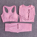 Womens Seamless Yoga Set