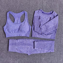 Womens Seamless Yoga Set